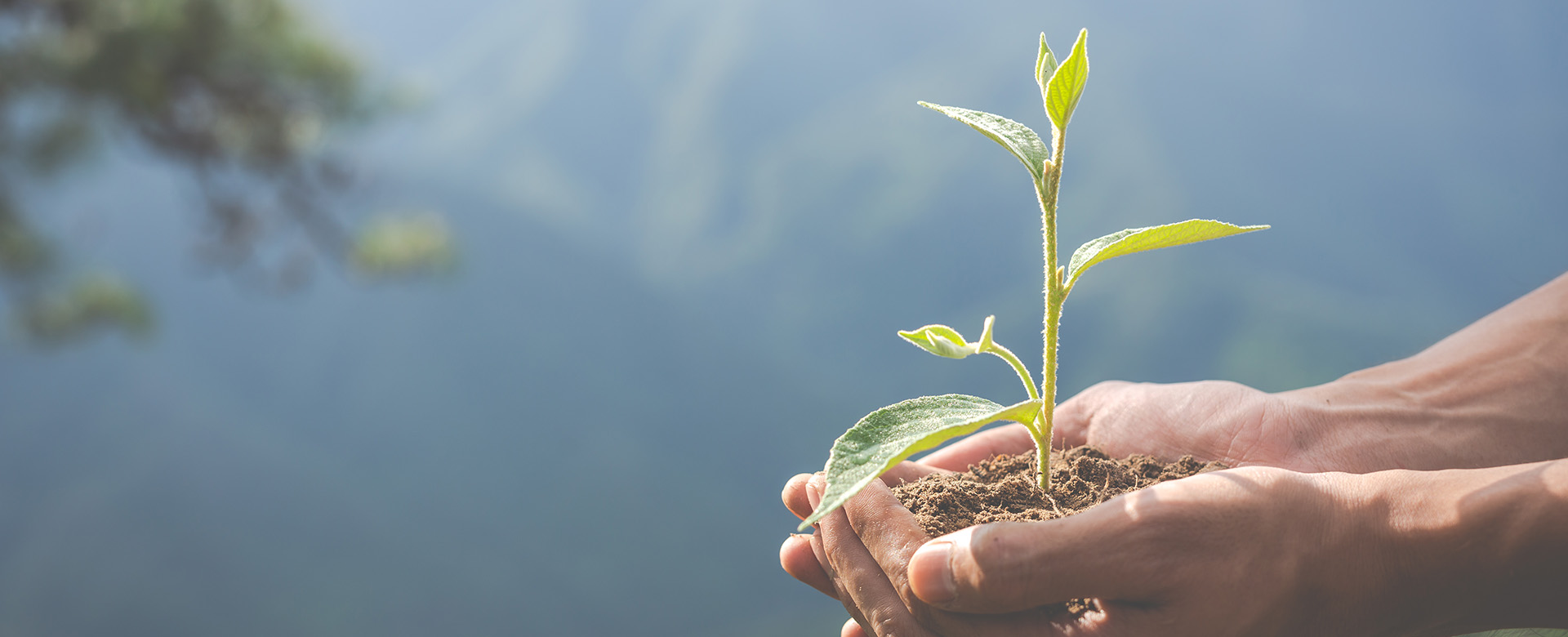 保護我們的碧海藍天